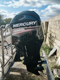 Mercury EFI 115 4t con 187 ore