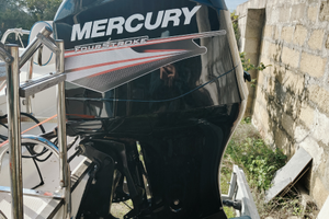 Mercury EFI 115 4t con 187 ore