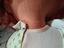 Immagine 6