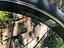 Immagine 13