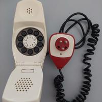 Telefono Grillo