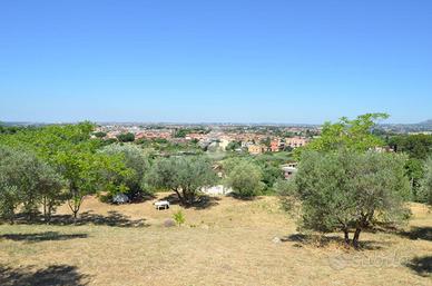 TER. AGRICOLO A TIVOLI