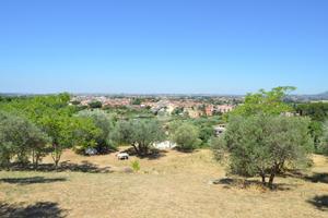 TER. AGRICOLO A TIVOLI