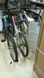 5 Mountain Bike Montana - Varie misure