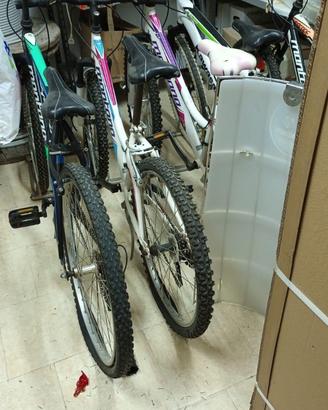 5 Mountain Bike Montana - Varie misure