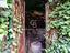 Immagine 16