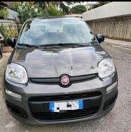 Fiat panda 3 serie Hybrid 2022