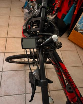 bicicletta + casco + monitor