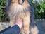 Immagine 6