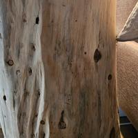 comodino in legno cirmolo, ceppo, tavolino