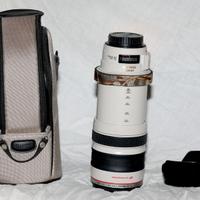 Canon lens 28-300 perfetto.
