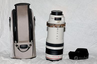 Canon lens 28-300 perfetto.