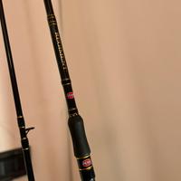 penn regiment 100 160gr 3 metri