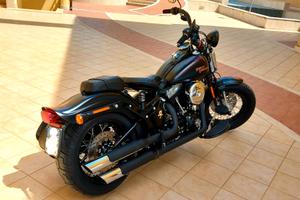 Harley-Davidson Softail Cross Bones - 2009