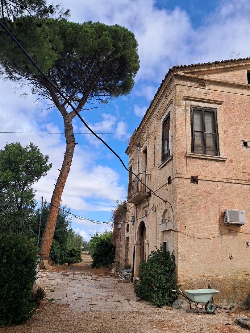 Casale + terreno adiacente edificabile - Vista 2