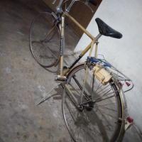 bicicletta Bottecchia