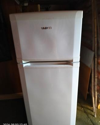 Frigo 