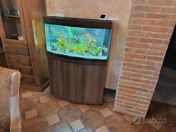 acquario juwel