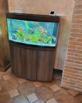 acquario juwel