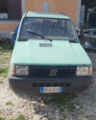 fiat panda