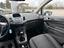 Immagine 11