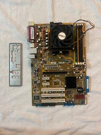 Kit ASUS M2N + AMD Athlon 64 X2 5000+ + 1GB DDR2