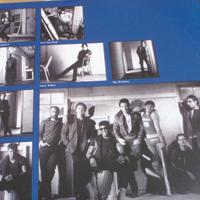 Disco in vinile 33 giri