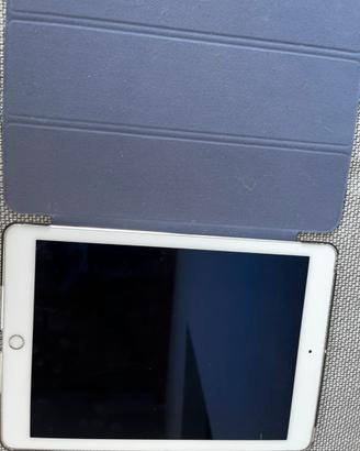 Ipad 2 air cellular