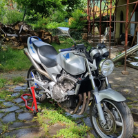 Honda hornet