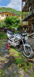 Honda hornet