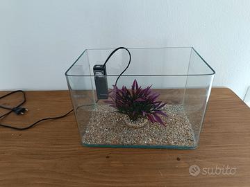 acquario 