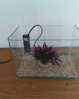 acquario 
