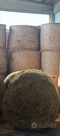 Fieno per bovini e cavalli