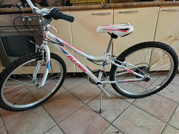 Atala Butterfly 24" Donna/Bambino