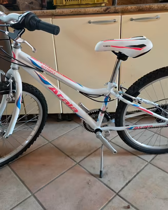 Atala Butterfly 24" Donna/Bambino