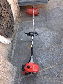 DECESPUGLIATORE