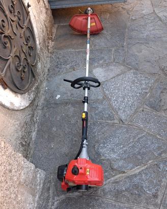 DECESPUGLIATORE