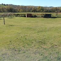 terreno per ricovero animali