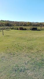 terreno per ricovero animali