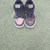 scarpe nike dunk sb