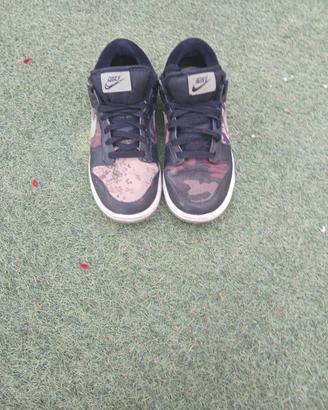 scarpe nike dunk sb