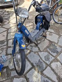 Piaggio Ciao 1981