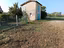 Immagine 9