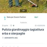 effettuo lavoro da giardinaggio 