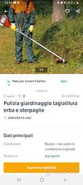effettuo lavoro da giardinaggio 