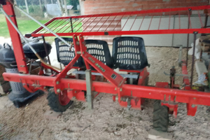 Trapiantatrice checchi e magli wolf 5 file