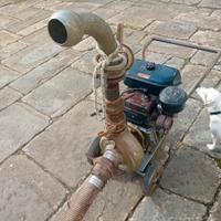 POMPA IRRIGAZIONE ACME AI 215