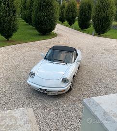 Alfa Romeo Spider