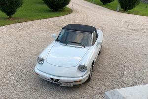 Alfa Romeo Spider