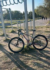 Mtb 29 M Giant